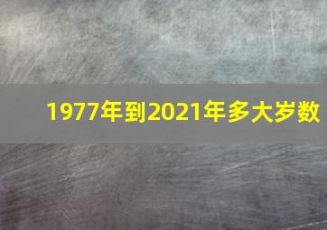 1977年到2021年多大岁数