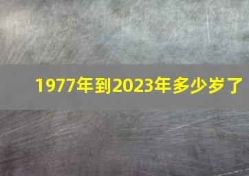 1977年到2023年多少岁了