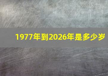 1977年到2026年是多少岁