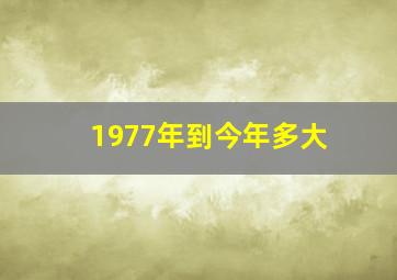 1977年到今年多大