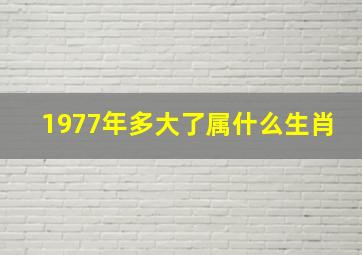 1977年多大了属什么生肖