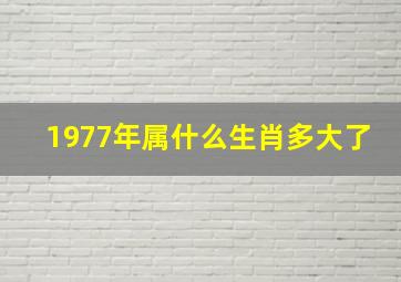 1977年属什么生肖多大了