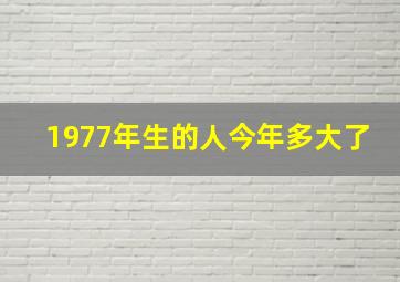 1977年生的人今年多大了