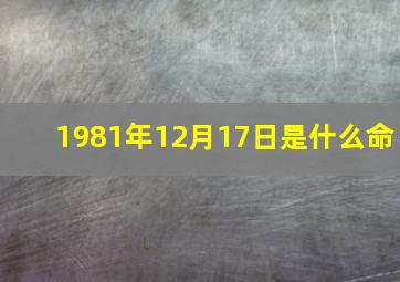 1981年12月17日是什么命