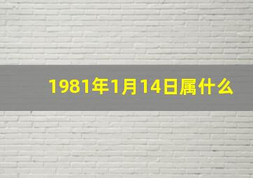 1981年1月14日属什么