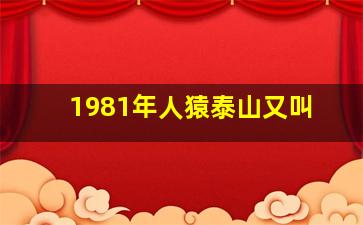 1981年人猿泰山又叫