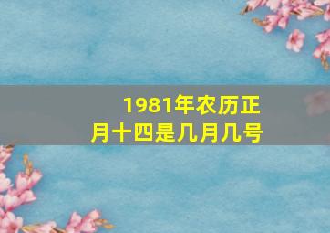 1981年农历正月十四是几月几号