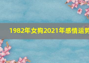 1982年女狗2021年感情运势