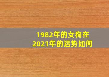 1982年的女狗在2021年的运势如何