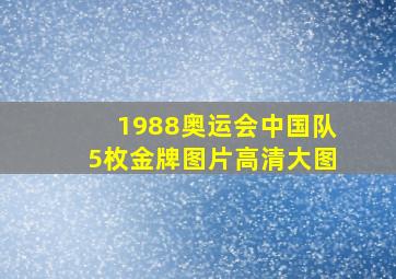 1988奥运会中国队5枚金牌图片高清大图