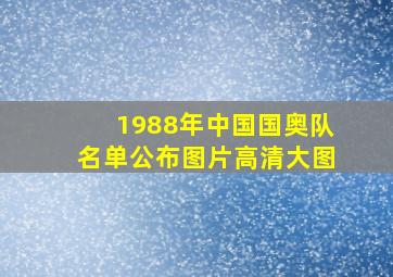 1988年中国国奥队名单公布图片高清大图