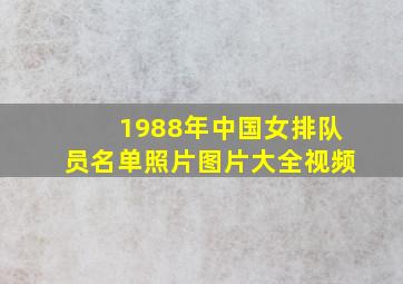 1988年中国女排队员名单照片图片大全视频