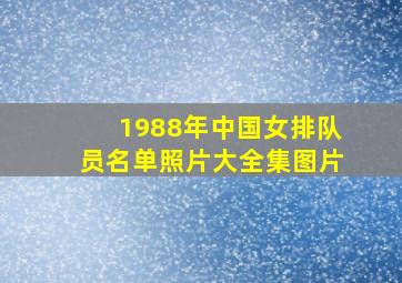 1988年中国女排队员名单照片大全集图片