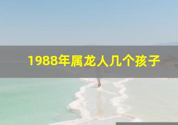 1988年属龙人几个孩子