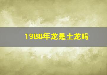 1988年龙是土龙吗