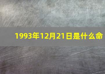 1993年12月21日是什么命