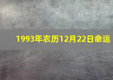 1993年农历12月22日命运