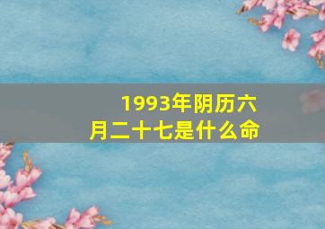 1993年阴历六月二十七是什么命