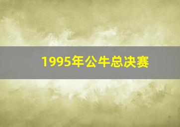 1995年公牛总决赛