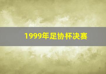 1999年足协杯决赛