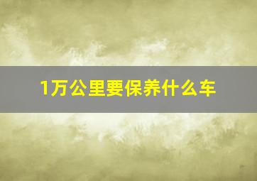 1万公里要保养什么车