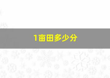 1亩田多少分