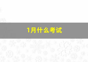 1月什么考试