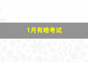 1月有啥考试