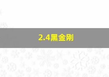 2.4黑金刚