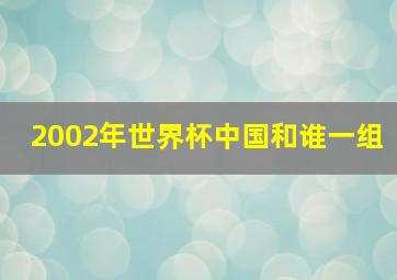 2002年世界杯中国和谁一组