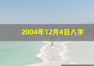 2004年12月4日八字