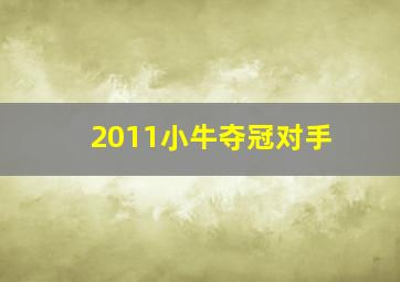 2011小牛夺冠对手