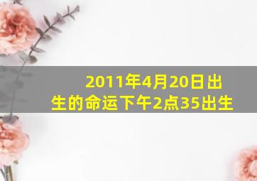 2011年4月20日出生的命运下午2点35出生