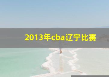 2013年cba辽宁比赛