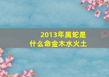 2013年属蛇是什么命金木水火土