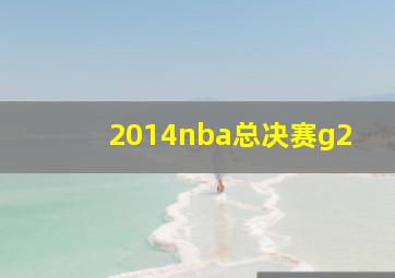 2014nba总决赛g2