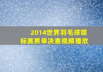 2014世界羽毛球锦标赛男单决赛视频播放