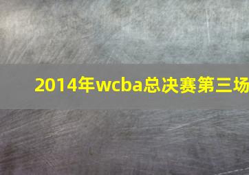 2014年wcba总决赛第三场