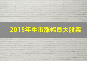 2015年牛市涨幅最大股票