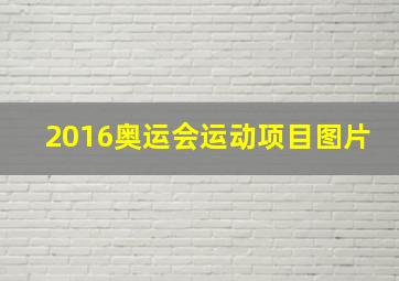 2016奥运会运动项目图片