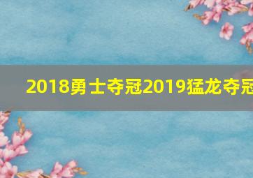 2018勇士夺冠2019猛龙夺冠