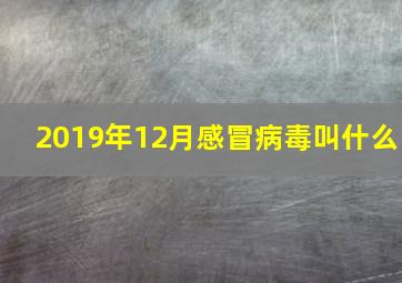 2019年12月感冒病毒叫什么