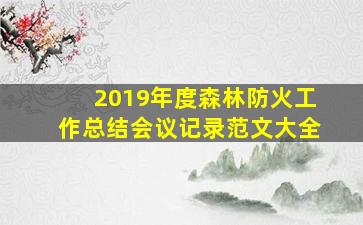 2019年度森林防火工作总结会议记录范文大全