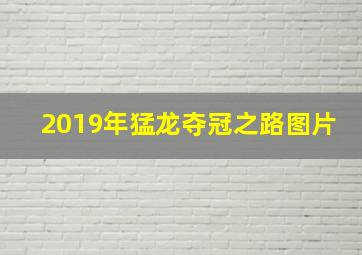 2019年猛龙夺冠之路图片