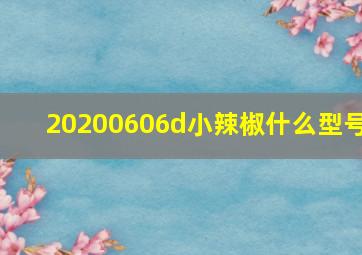 20200606d小辣椒什么型号