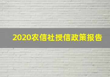 2020农信社授信政策报告