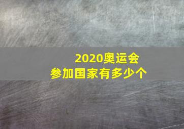 2020奥运会参加国家有多少个