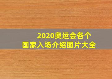 2020奥运会各个国家入场介绍图片大全