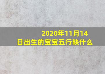 2020年11月14日出生的宝宝五行缺什么