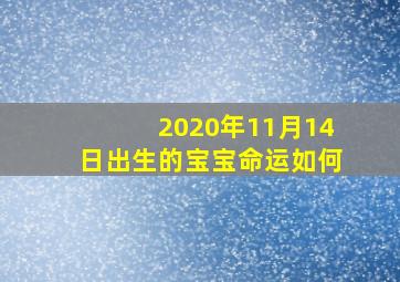 2020年11月14日出生的宝宝命运如何